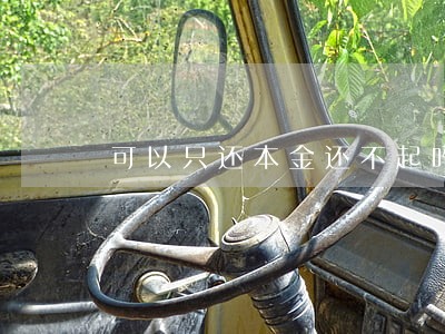 可以只还本金还不起吗 可以只还本金还不起吗