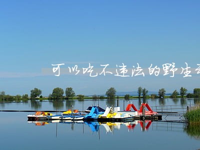 可以吃不违法的野生动物 可以吃不违法的野生动物