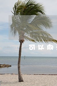 可以向法院申请使用测谎仪吗 可以向法院申请使用测谎仪吗