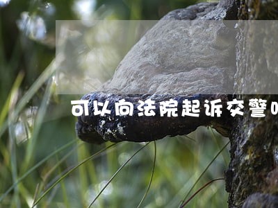 可以向法院起诉交警吗 可以向法院起诉交警吗