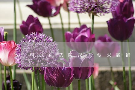 可以向法院起诉要求撤销公证书吗