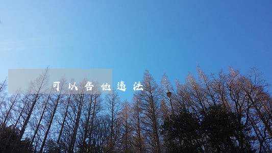 可以告他违法 可以告他违法