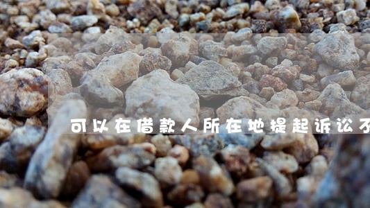 可以在借款人所在地提起诉讼不 可以在借款人所在地提起诉讼不