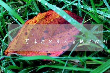 可以在欠款人当地法院起诉他吗 可以在欠款人当地法院起诉他吗
