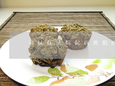 可以在法院起诉离婚吗