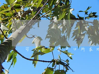 可以在老婆户口所在地办理离婚吗 可以在老婆户口所在地办理离婚吗