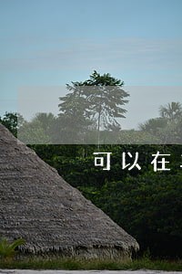 可以在车贷逾期前联系银行吗 可以在车贷逾期前联系银行吗