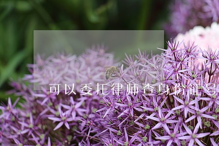 可以委托律师查身份证号吗 可以委托律师查身份证号吗