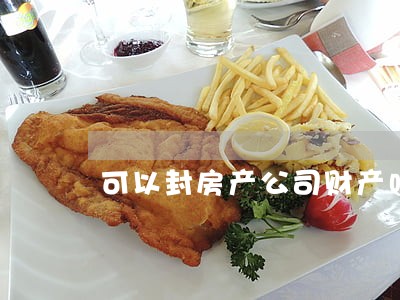可以封房产公司财产吗