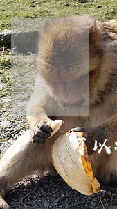 可以找律师查对方婚外情吗 可以找律师查对方婚外情吗