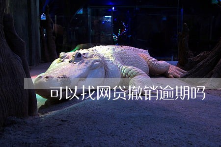 可以找网贷撤销逾期吗 可以找网贷撤销逾期吗