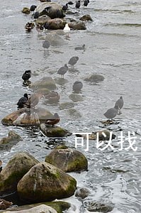 可以找记者曝光违法中介吗 可以找记者曝光违法中介吗