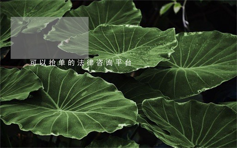可以抢单的法律咨询平台 可以抢单的法律咨询平台