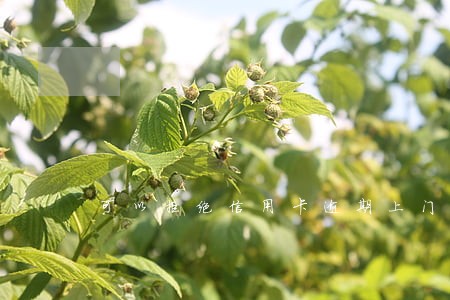 可以拒绝信用卡逾期上门走访吗 可以拒绝信用卡逾期上门走访吗