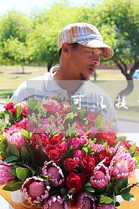 可以提前几天去办离婚吗 可以提前几天去办离婚吗