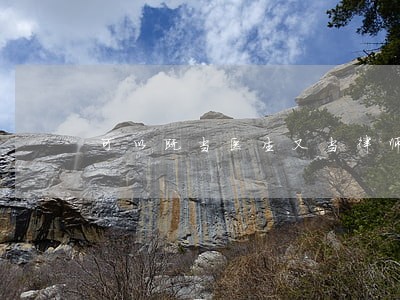 可以既当医生又当律师吗 可以既当医生又当律师吗