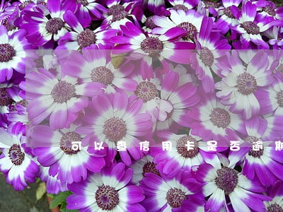 可以查信用卡是否逾期么