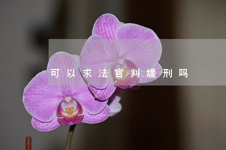 可以求法官判缓刑吗 可以求法官判缓刑吗