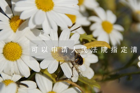 可以申请人民法院指定清算组 可以申请人民法院指定清算组