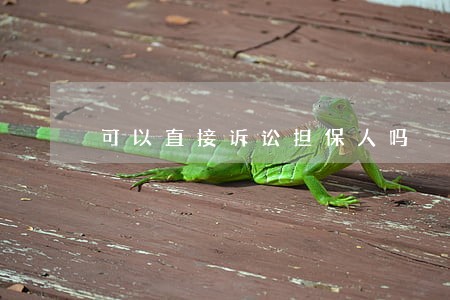 可以直接诉讼担保人吗