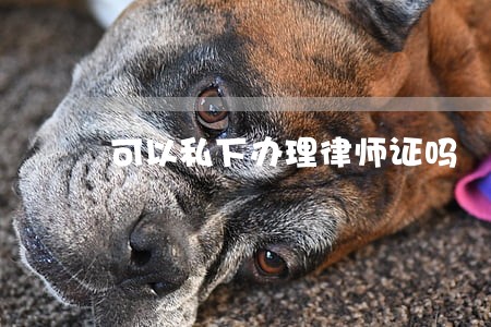 可以私下办理律师证吗 可以私下办理律师证吗