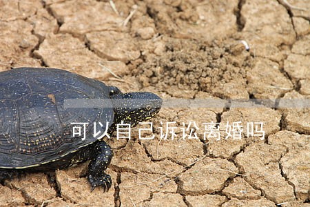 可以自己诉讼离婚吗 可以自己诉讼离婚吗