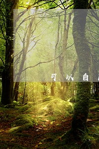 可以自己起诉自己网贷逾期吗 可以自己起诉自己网贷逾期吗