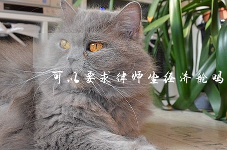 可以要求律师坐经济舱吗 可以要求律师坐经济舱吗