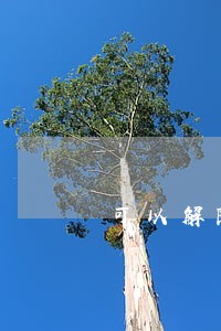 可以解除劳动合同法 可以解除劳动合同法