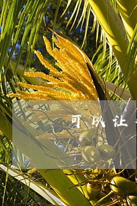 可以让律师帮忙过户房产 可以让律师帮忙过户房产