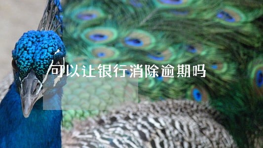 可以让银行消除逾期吗 可以让银行消除逾期吗