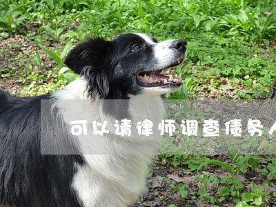 可以请律师调查债务人财产吗 可以请律师调查债务人财产吗