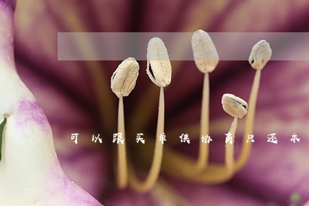 可以跟买单侠协商只还本金吗 可以跟买单侠协商只还本金吗