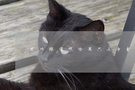 可以跟借呗协商只还本金吗
