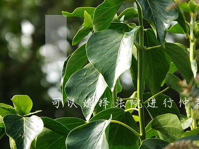 可以选择法院进行仲裁吗 可以选择法院进行仲裁吗