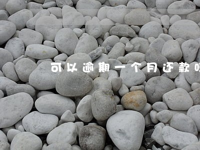 可以逾期一个月还款吗 可以逾期一个月还款吗