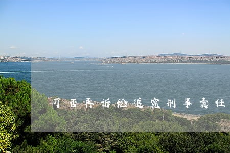 可否再诉讼追究刑事责任 可否再诉讼追究刑事责任