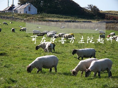 可在原告方法院起诉吗 可在原告方法院起诉吗