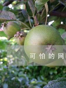 可怕的网贷逾期人数 可怕的网贷逾期人数