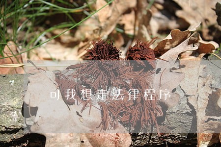 可我想走法律程序