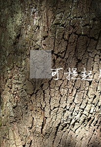 可提起房屋继承诉讼的时间是多久 可提起房屋继承诉讼的时间是多久