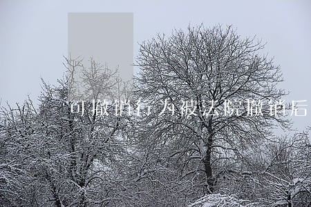 可撤销行为被法院撤销后 可撤销行为被法院撤销后