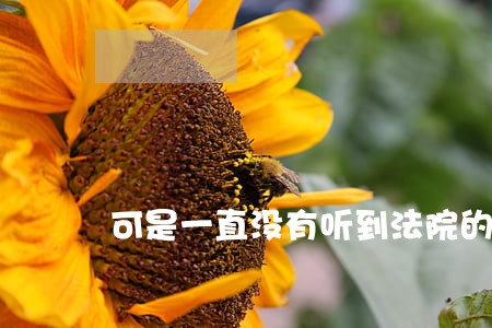 可是一直没有听到法院的通知 可是一直没有听到法院的通知