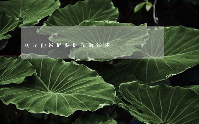 可是他说道要提起诉讼我 可是他说道要提起诉讼我