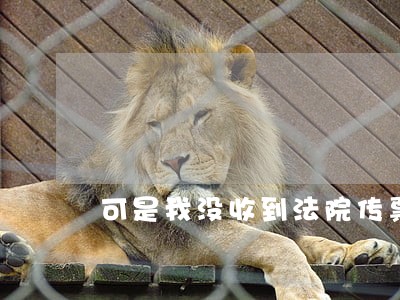 可是我没收到法院传票 可是我没收到法院传票