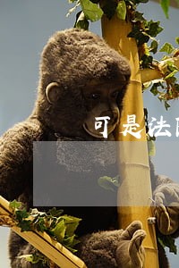 可是法院那边还没动静 可是法院那边还没动静
