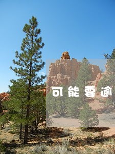 可能要逾期10天左右 可能要逾期10天左右