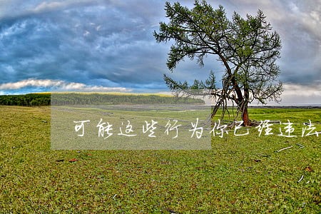 可能这些行为你已经违法 可能这些行为你已经违法