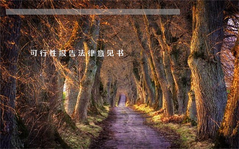 可行性报告法律意见书 可行性报告法律意见书