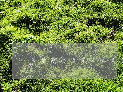 可警察说要等法院传票 可警察说要等法院传票